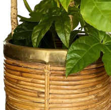 Afbeelding in Gallery-weergave laden, Vintage Italiaanse mand of plantenbak van bamboe en messing, Italië 1970s