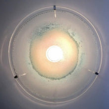 Afbeelding in Gallery-weergave laden, Vintage handgeblazen wandlamp, 1980s