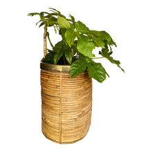 Afbeelding in Gallery-weergave laden, Vintage Italiaanse mand of plantenbak van bamboe en messing, Italië 1970s