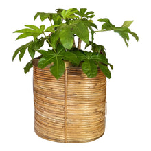 Afbeelding in Gallery-weergave laden, Vintage Italiaanse mand of plantenbak van bamboe en messing, Italië 1970s